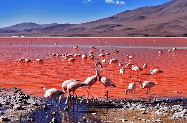 3D2N ATACAMA, UYUNI, ATACAMA PRIVATE