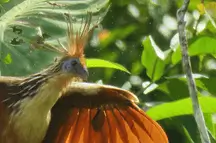 Passeios Sandoval Lake 4D3N