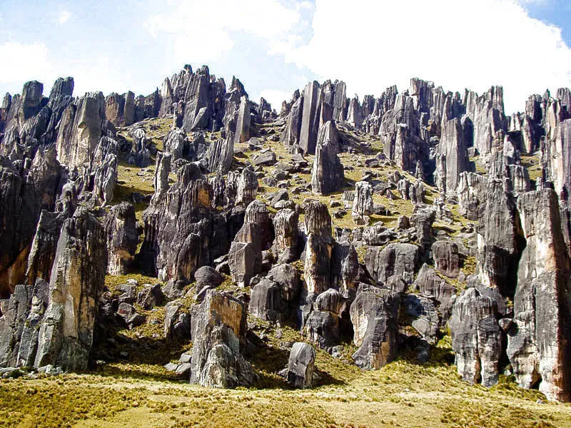 arequipa rock forest