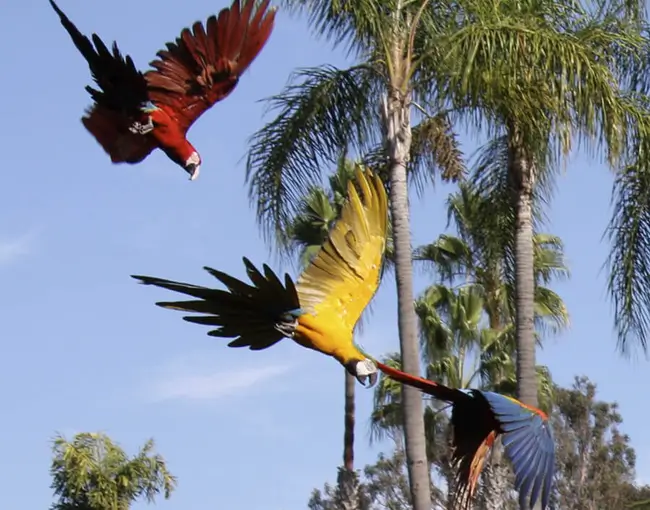 4D3N Manu Amazon Rain Forest Tour de Cusco